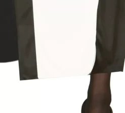 Costume donna suora