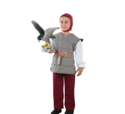 Costume Falconer grigio per bambino