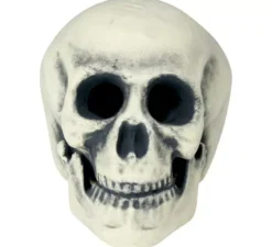 Cranio 32 cm di gomma piuma semi rigida