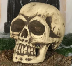 Cranio 32 cm di gomma piuma semi rigida