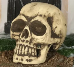 Cranio 32 cm di gomma piuma semi rigida