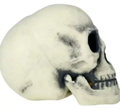 Cranio 32 cm di gomma piuma semi rigida