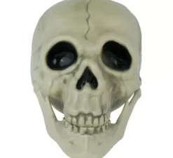 cranio di 13 cm