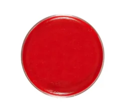 Crema trucco 25g in vari colori