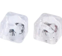 2 cubetti di ghiaccio con mosca