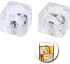 2 cubetti di ghiaccio con mosca