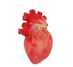 Cuore squishy rosso