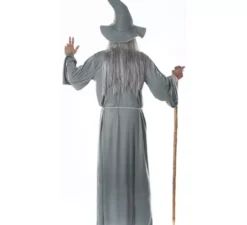 Da mago Gandalf il grigio per uomo