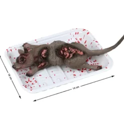 decorazione Morto Rat