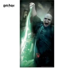 Decorazione per porta di Harry Potter Lord Voldemort