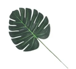 Decorazione verde foglia tropicale