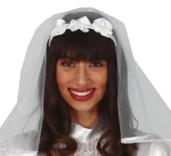Diadem con il velo bianco