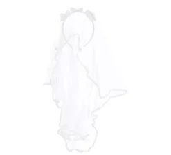 Diadem con il velo bianco