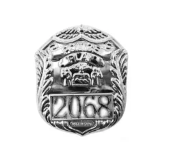 Distintivo della polizia in plastica argento 2068