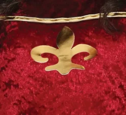 Elegante costume da principessa medievale per donna