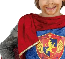 Elegante costume da Re Medievale con mantello per bambino