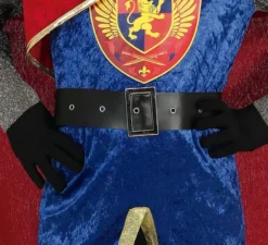 Elegante costume da Re Medievale con mantello per bambino