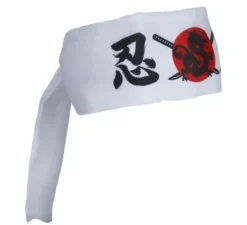 Fascia da karate
