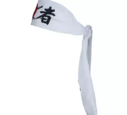 Fascia da karate