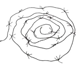 Filo di biancospino ossidato 520 cm