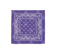 Foulard con motivo Paisley da 54x54 cm in diversi colori