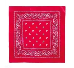 Foulard con motivo Paisley da 54x54 cm in diversi colori