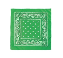 Foulard con motivo Paisley da 54x54 cm in diversi colori