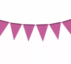 Gagliardetto Carta Fucsia Fluo 300 cm 19X27 cm
