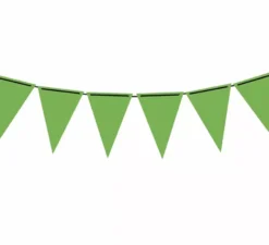 Gagliardetto Carta Verde Fluo 300 cm 19X27 cm