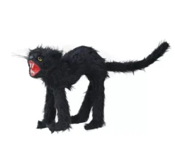 Gatto selvatico peloso nero 30 cm