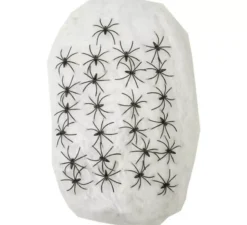 500 g di ragnatela gigante con ragni