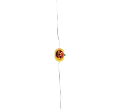 Ghirlanda di fili di zucca a batteria 10 LED