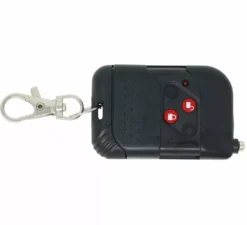 Macchina del fumo elettrica con telecomando