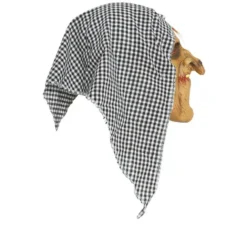Maschera da Strega con cappuccio