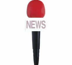 Microfono reporter da 25 cm