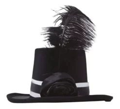 Mini cilindro nero con piume
