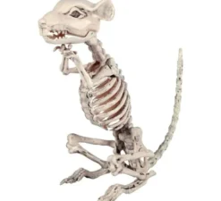 Mouse scheletro 28x33 cm