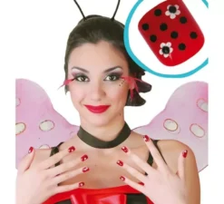 24 nail box per coccinella con colla