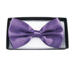 Papillon in raso in vari colori