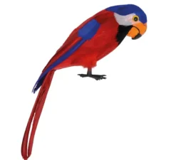 Pappagallo pirata 40 cm