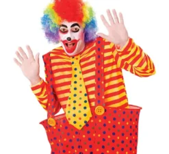 Parrucca da clown arcobaleno