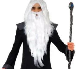 Parrucca da mago capelli e barba