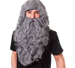 Parrucca da mago grigia con barba lunga
