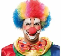 Parrucca riccia clown in vari colori