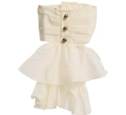 Petto bianco Steampunk