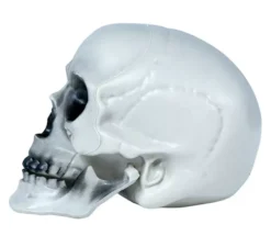 PVC cranio 20 centimetri