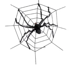 Ragnatela con Ragno Gigante 180X180 cm
