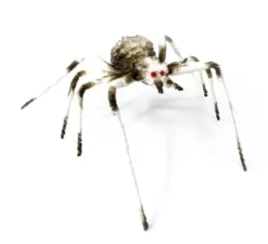 Ragno dalle gambe lunghe 6X58X17 cm