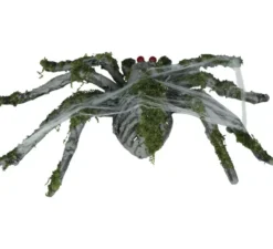 Ragno muschio da 22 cm