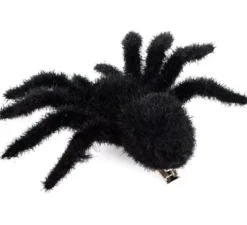 Ragno peloso